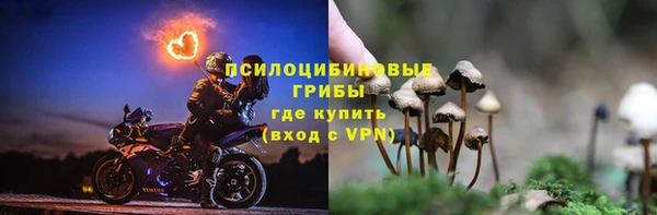 ПСИЛОЦИБИНОВЫЕ ГРИБЫ Баксан