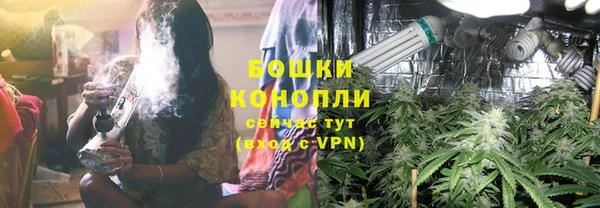 ПСИЛОЦИБИНОВЫЕ ГРИБЫ Баксан